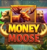 Money Moose