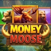 Money Moose