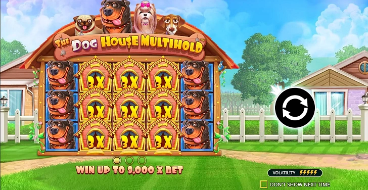 Base game: layout, bet controls and balance display.