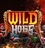 Wild Hogs