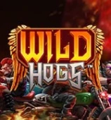 Wild Hogs