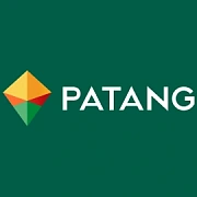 Patang