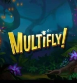 MultiFly