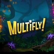 MultiFly