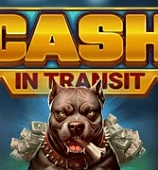 Cash in Transit