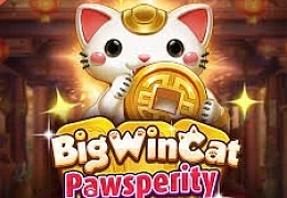 Big Win Cat Pawsperity