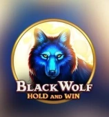 Black Wolf