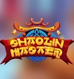 Shaolin Master