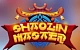 Shaolin Master