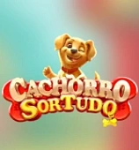 Cachorro Sortudo