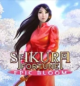 Sakura Fortune Epic Bloom