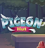 Pigeon Hut
