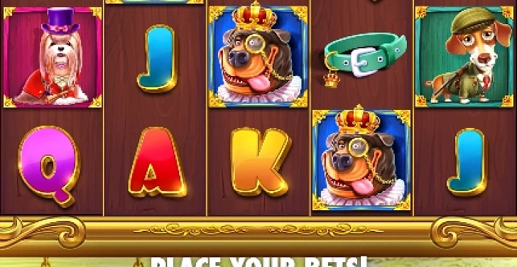 Screenshot 20Bet