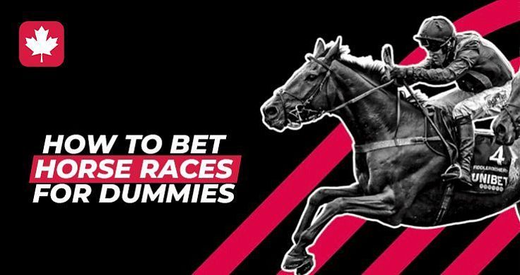 How to bet on horse racing — a beginner's guide