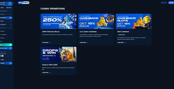 Screenshot 20Bet