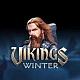 Vikings Winter