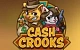 Cash Crooks