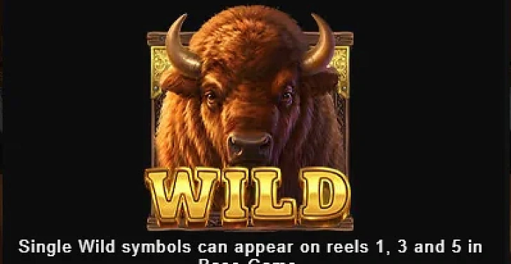 Screenshot 20Bet