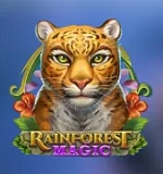 Rainforest Magic