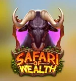 Safari of Wealth