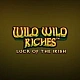 Wild Wild Riches Megaways