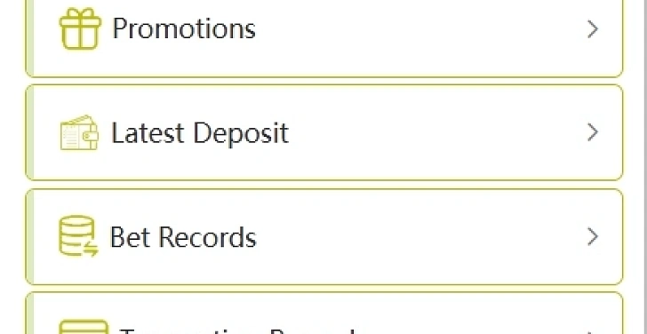 Screenshot 20Bet