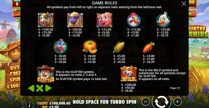 Bonus game: free spins, retriggers and bonus-round rules.