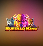 The Buffalo King