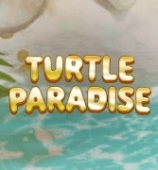 Turtle Paradise