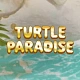 Turtle Paradise