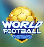 World Football Fortunes