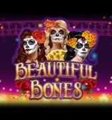 Beautiful Bones