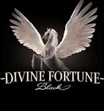 Divine Fortune Black