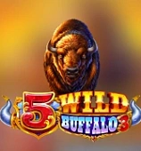 5 Wild Buffalo 3