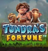Tundra Fortune