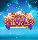 Cats of Olympuss