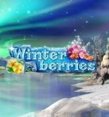 Winterberries