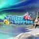 Winterberries