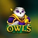 Owls
