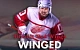 Detroit Red Wings Winged Reelers