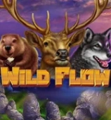 Wild Flow