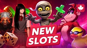 New Slots Spotlight: A Review of the Brightest New Releases from January 25 to February 02