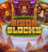 Bison Blocks