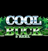 Cool Buck