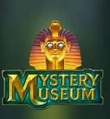 Mystery Museum