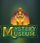 Mystery Museum