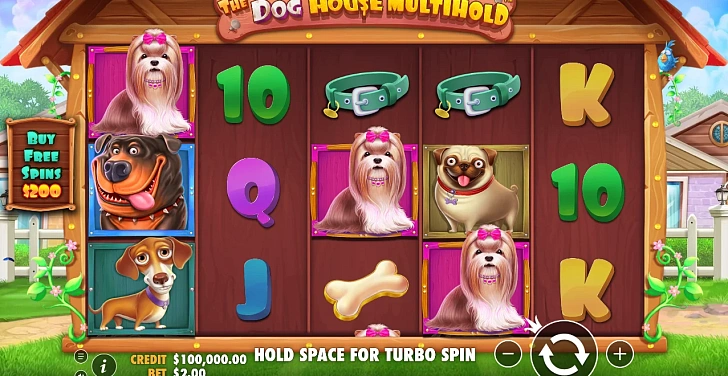 Gameplay process: wins, multipliers and cascade behaviour.