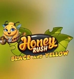 Honey Rush Black & Yellow