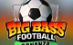 Big Bass Football Bonanza