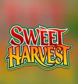 Sweet Harvest